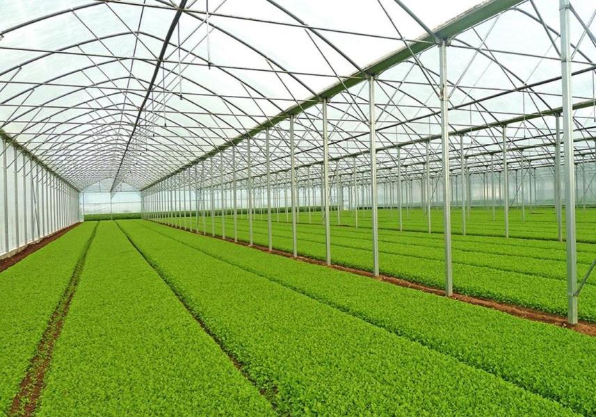 patenting a modern and cost-effective greenhouse structure design