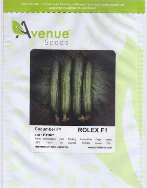 بذر خیار گلخانه ای رولکس اف 1 محصول شرکت اونیو سیدز اردن ( کلیک کنید)